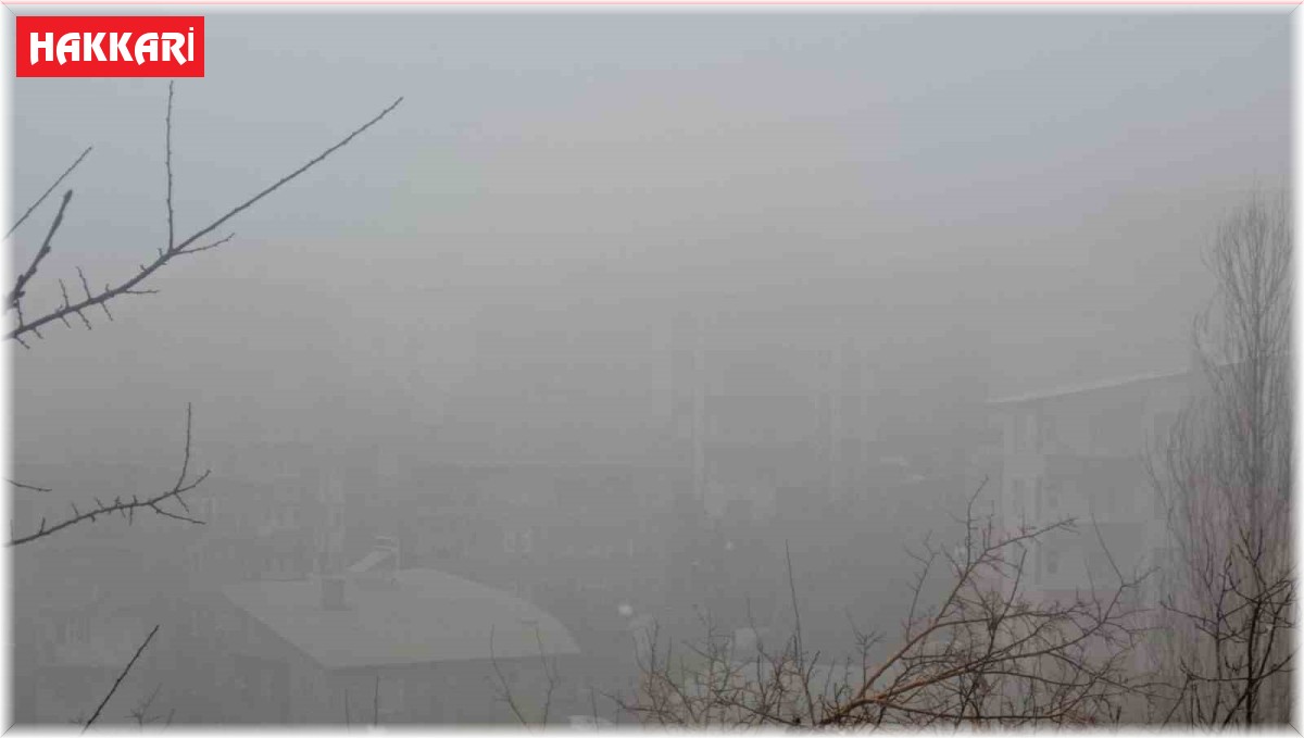 Hakkari'de karla karışık yağmur ve sis etkili oluyor