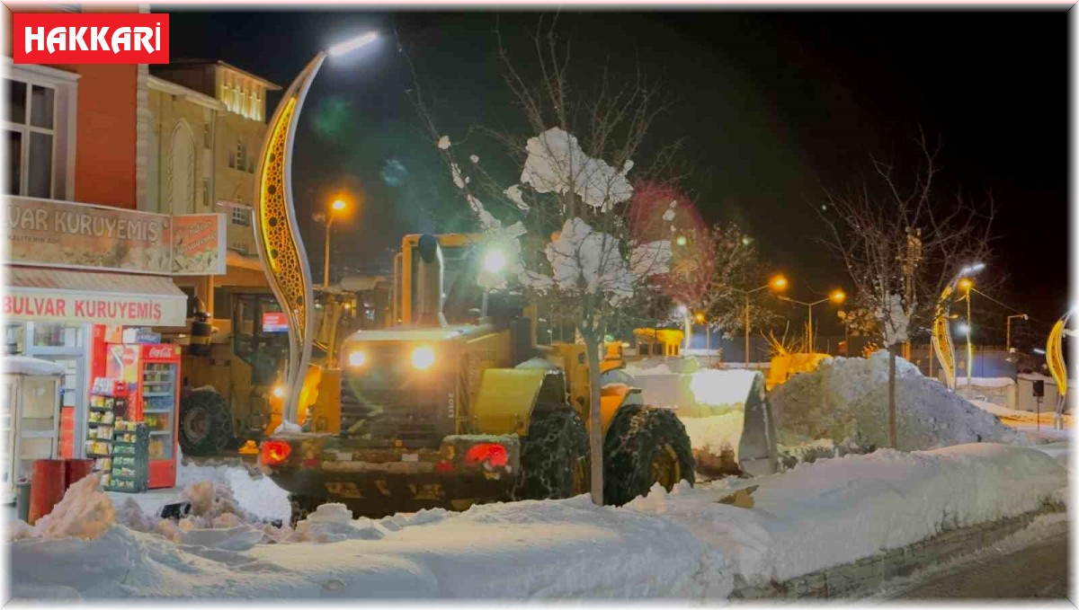 Hakkari'de karla mücadele çalışması sürüyor