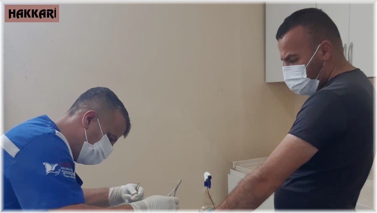 Hakkari'de kediye amputasyon ameliyatı