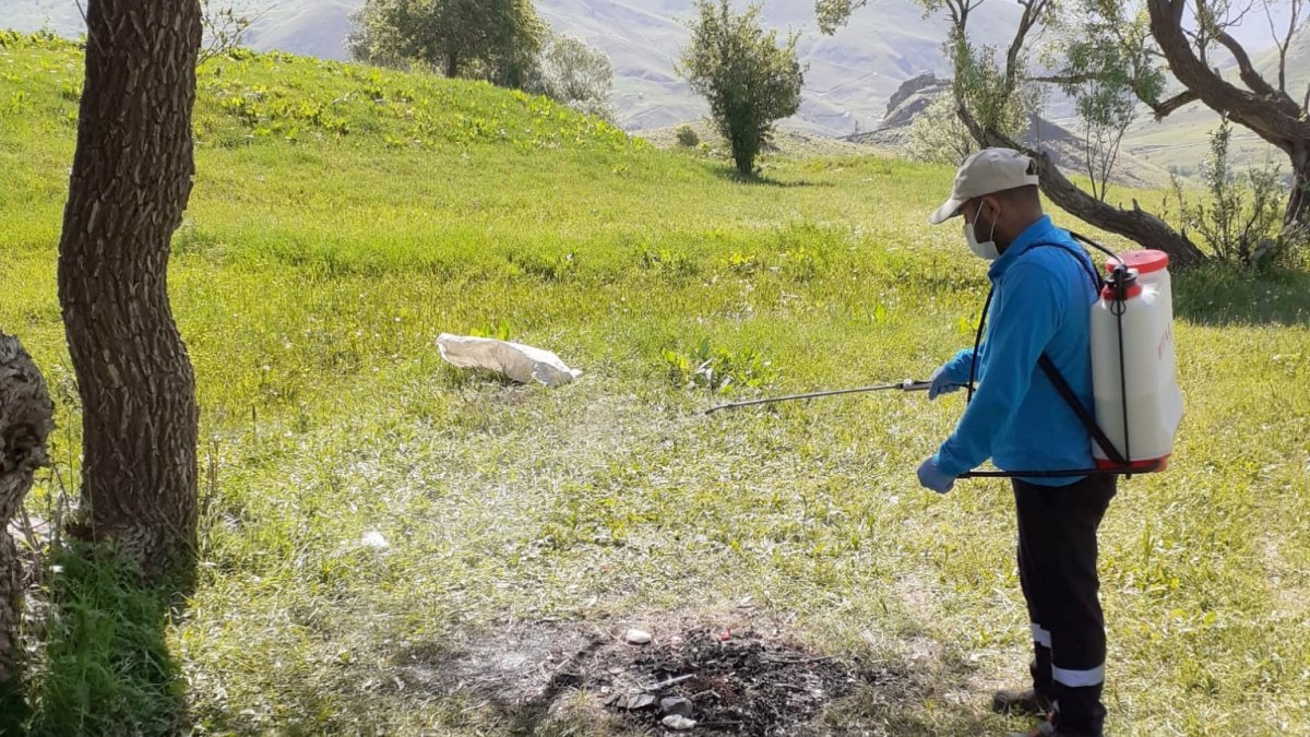 Hakkari'de keneyle mücadele çalışması