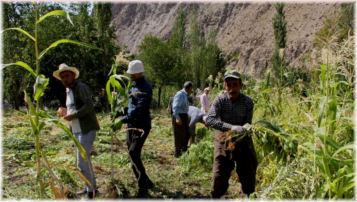 Hakkari'de kış hazırlığı