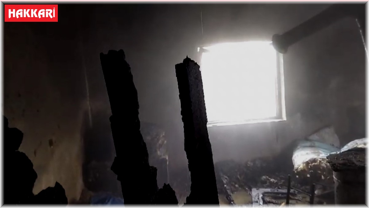Hakkari'de köy evinde korkutan yangın