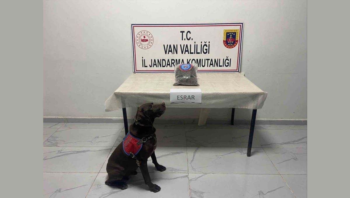 Hakkari'de kubar esrar ele geçirildi