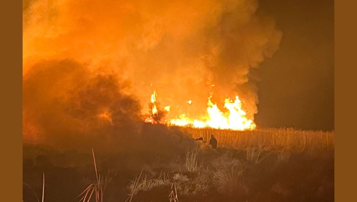 Hakkari'de kuş cennetinde yangın