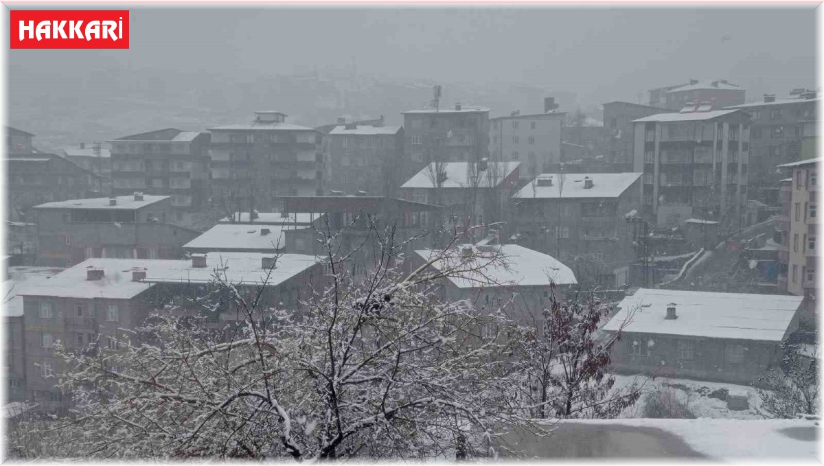 Hakkari'de lapa lapa kar yağışı