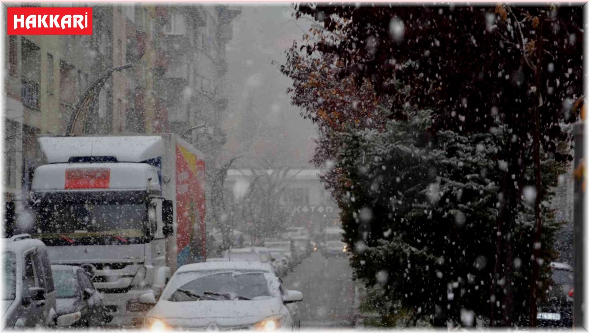 Hakkari'de lapa lapa kar yağışı
