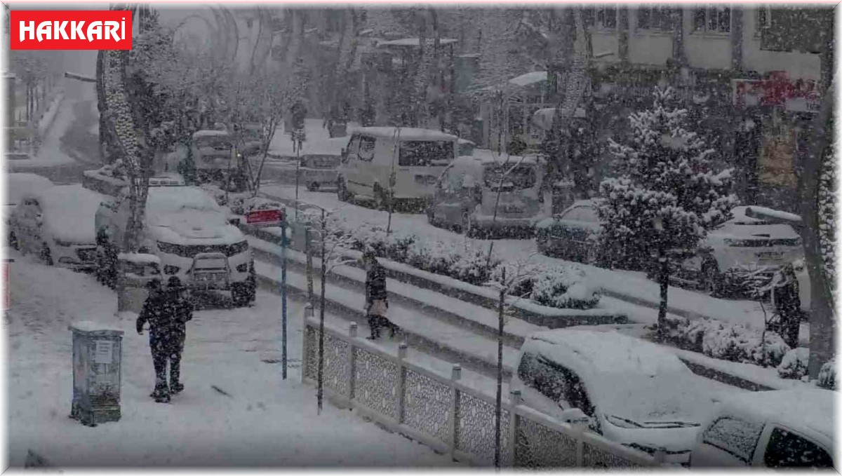 Hakkari'de lapa lapa kar yağışı: 92 yerleşim yerinin yolu kapandı