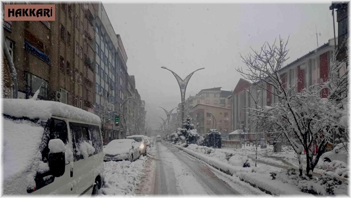 Hakkari'de okullar yarım gün tatil edildi
