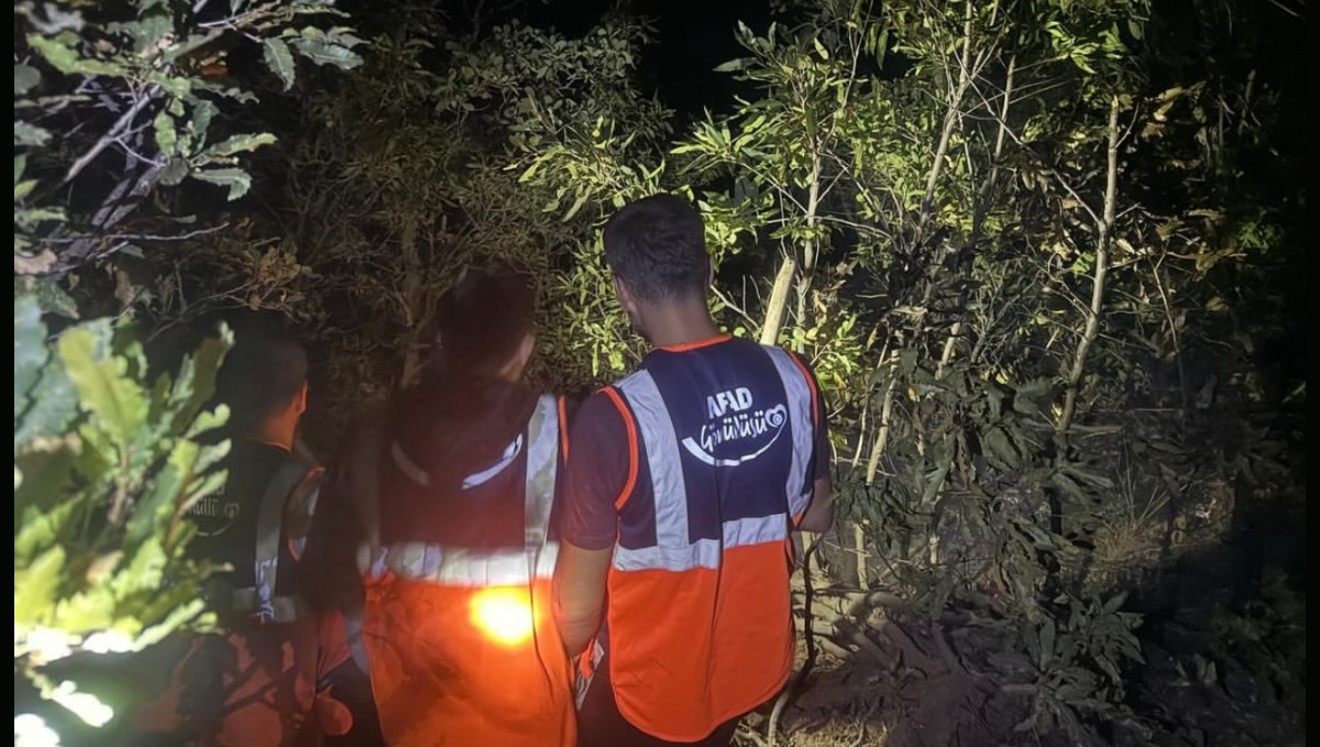 Hakkari'de orman yangını