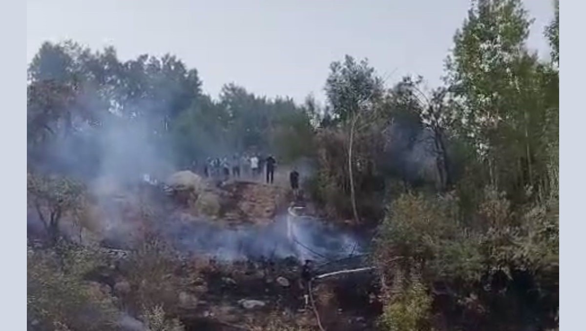 Hakkari'de ormanlık alanda yangın