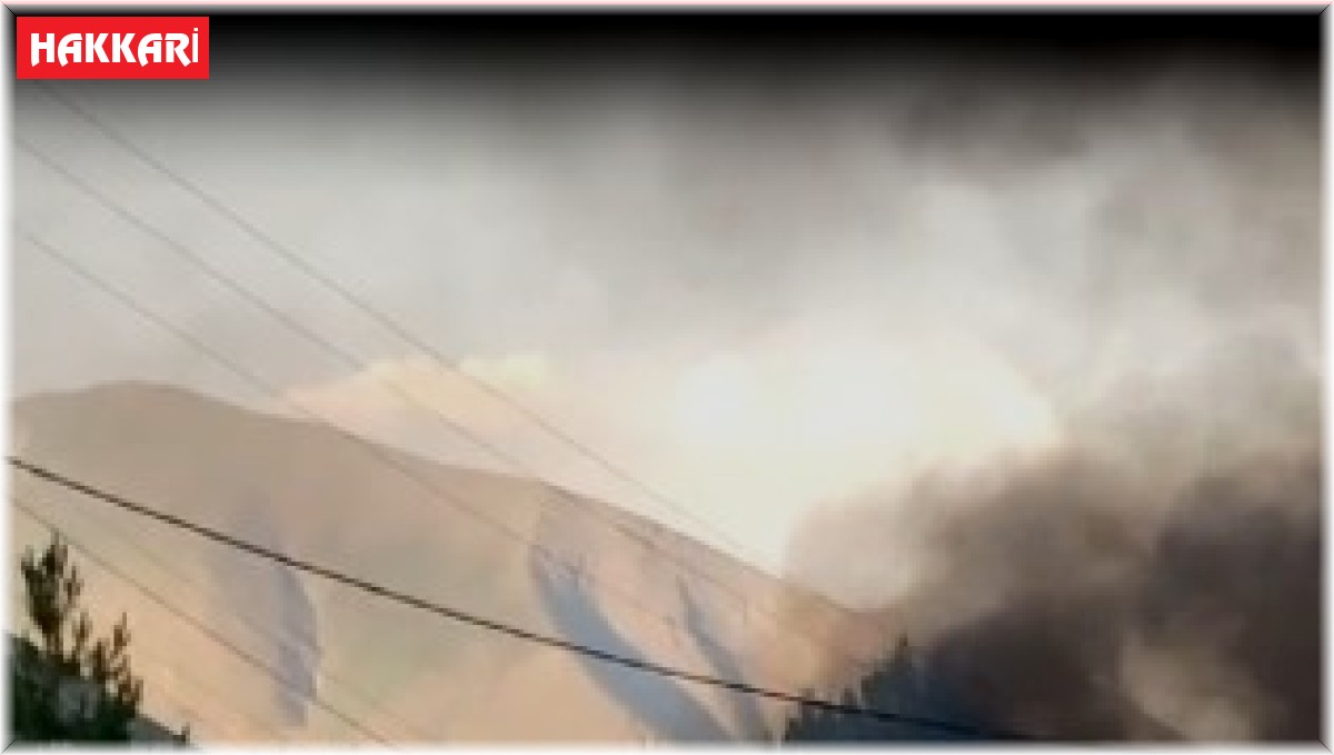 Hakkari'de park halindeki otomobil alev aldı