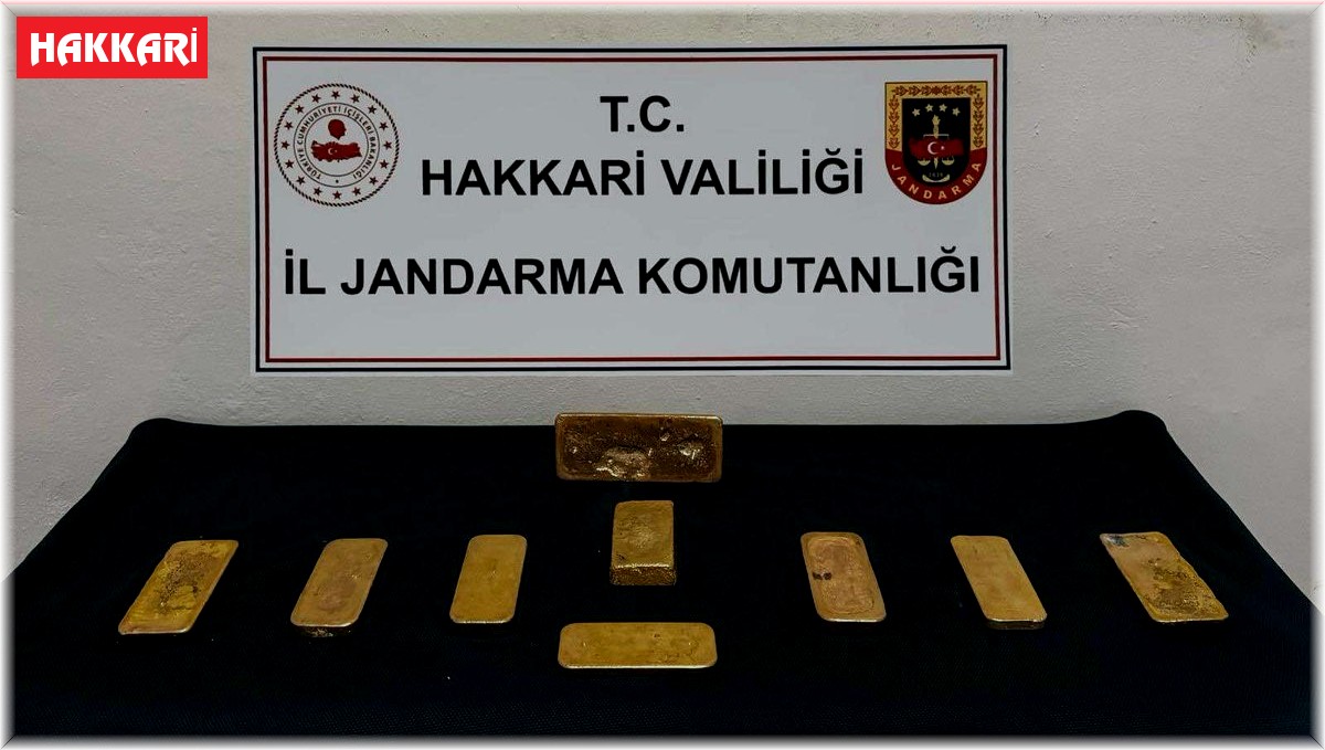Hakkari'de piyasa değeri 37 milyon TL olan külçe altın ele geçirildi