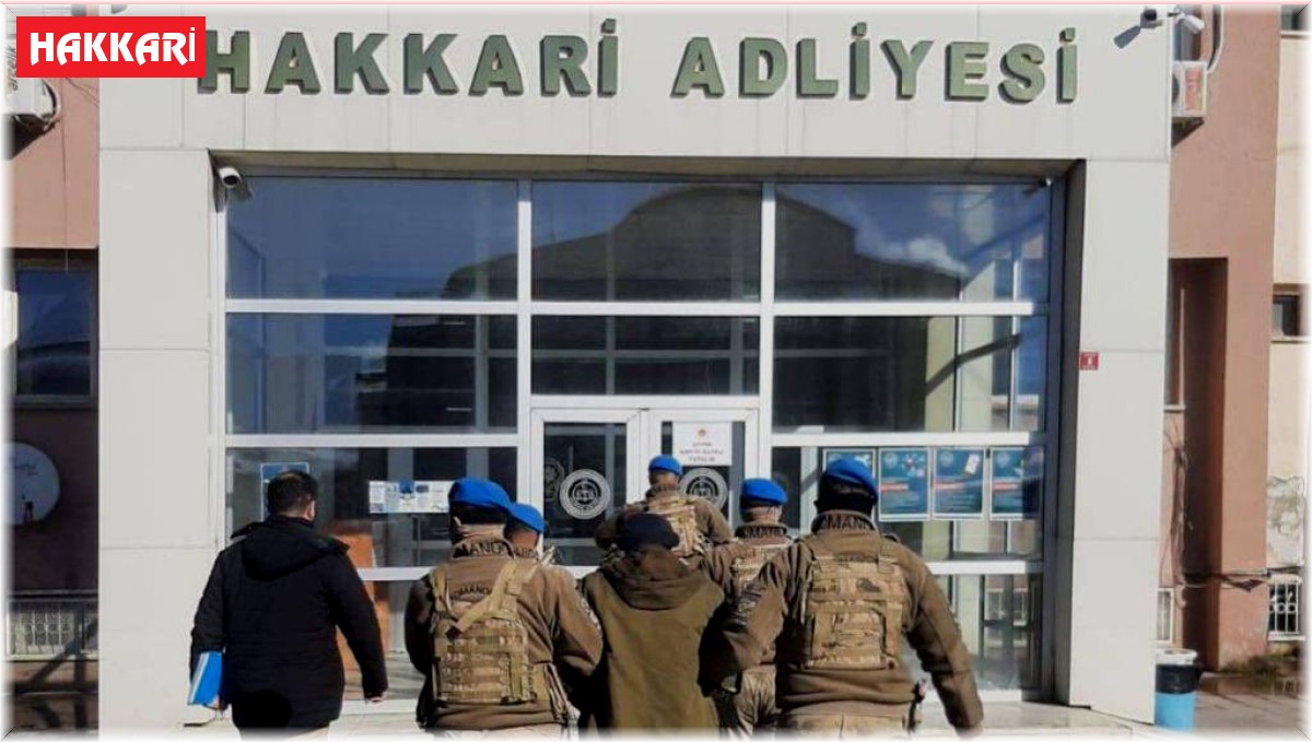 Hakkari'de PKK/KCK operasyonu: 2 gözaltı