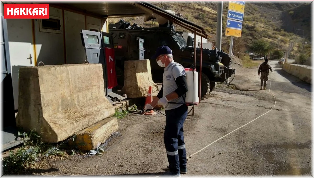 Hakkari'de Sarı Ömer örümceğine karşı ilaçlama yapıldı