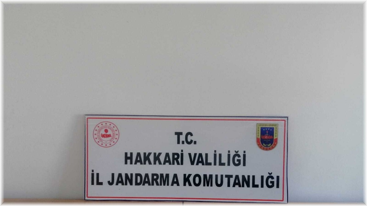 Hakkari'de silah ve mayın ele geçirildi