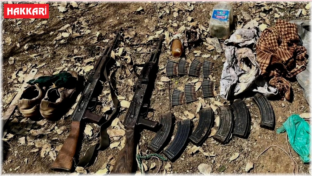 Hakkari'de silah ve mühimmat ele geçirildi