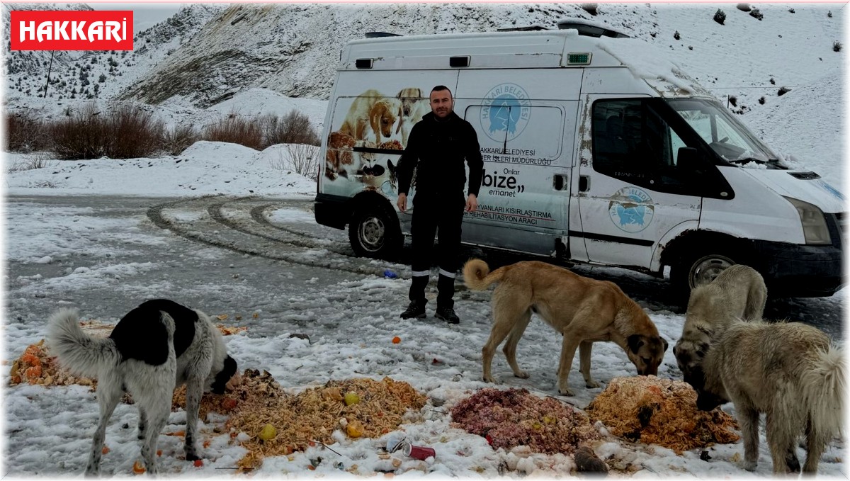 Hakkari'de sokak hayvanlarına yiyecek bırakıldı