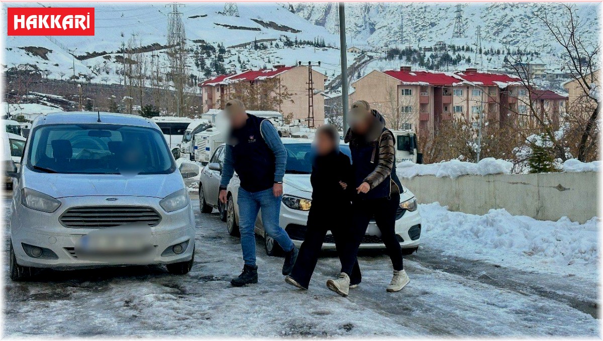 Hakkari'de terör operasyonu: 2 tutuklama