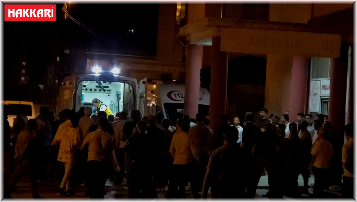 Hakkari'de tır ile minibüs çarpıştı: 4 yaralı