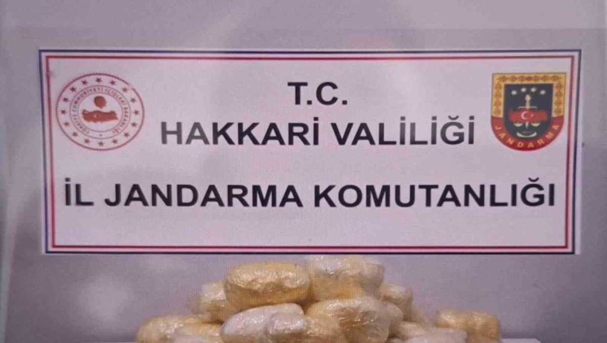 Hakkari'de tırda 15 kilo 263 gram metamfetamin ele geçirildi