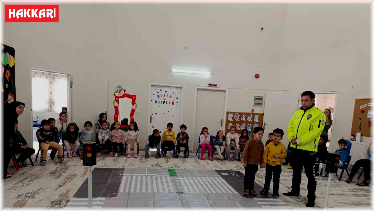 Hakkari'de trafik denetimi