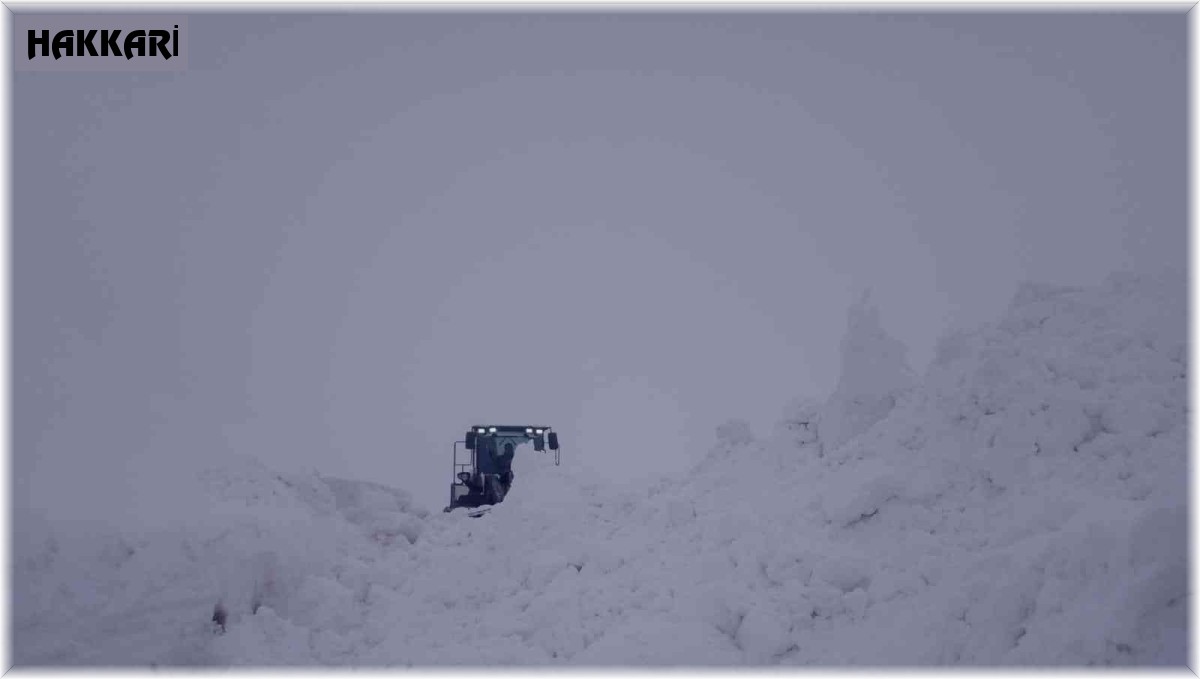 Hakkari'de tüm köy ve mezra yoları ulaşıma açıldı