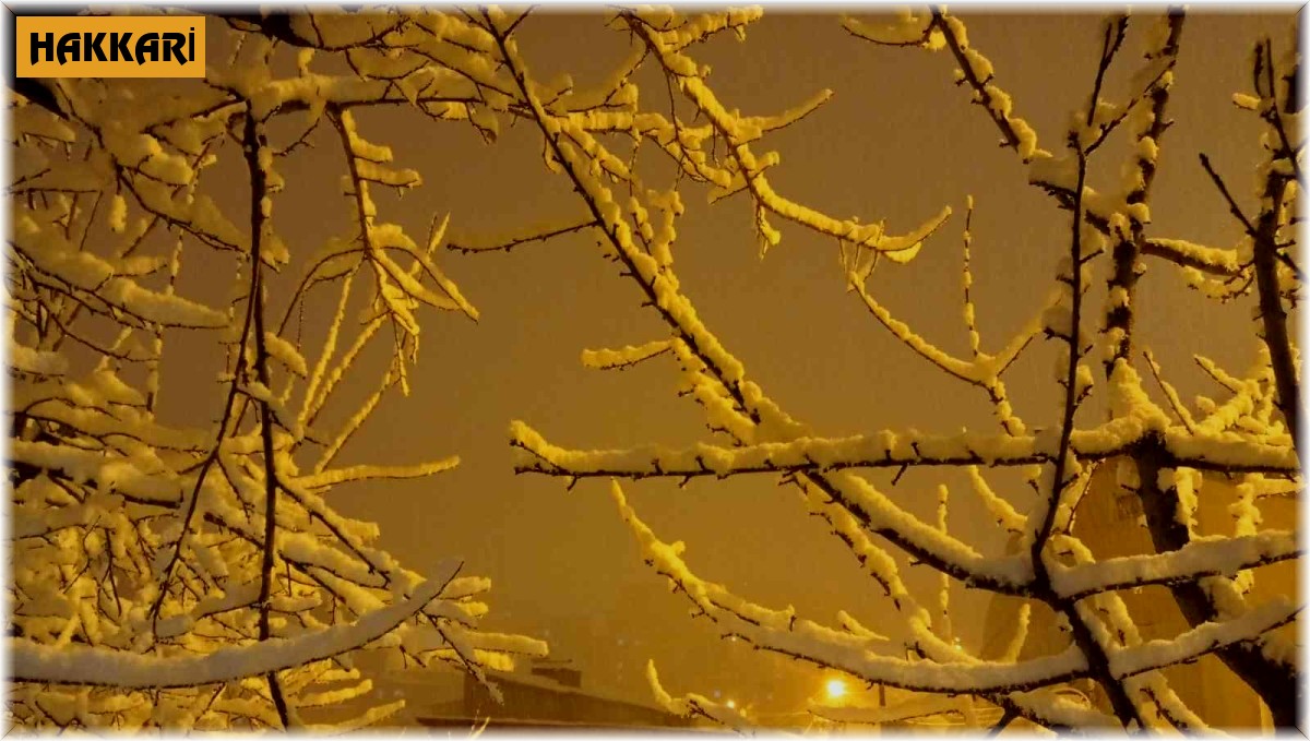 Hakkari'de valiliğin kar uyarısının ardından yağış başladı