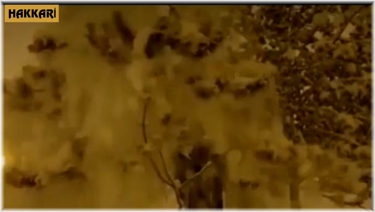 Hakkari'de vatandaşlar karın keyfini çıkardı