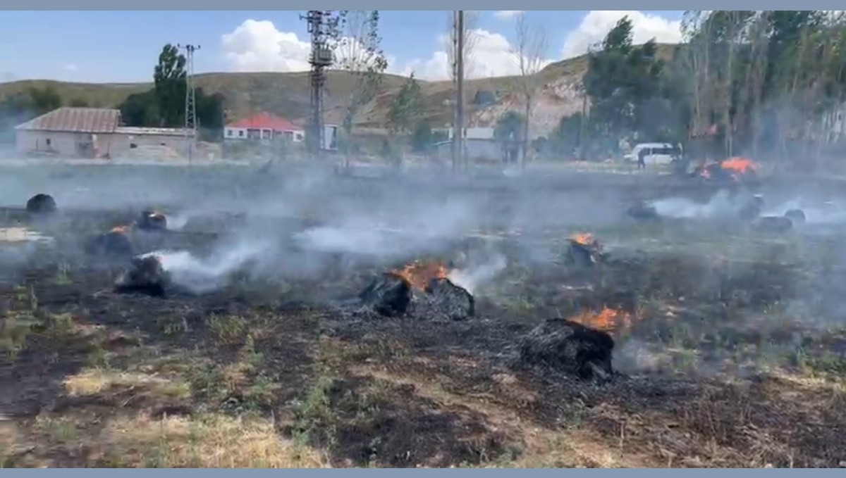 Hakkari'de yaklaşık bin 500 bağ ot kül oldu