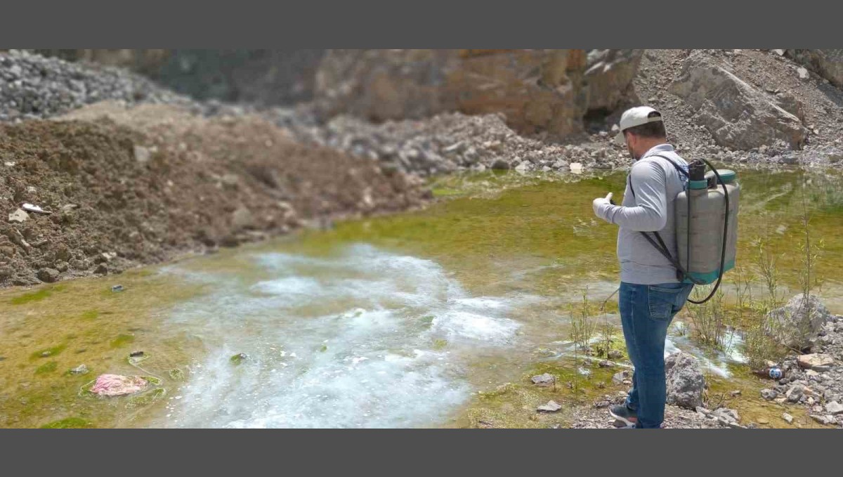 Hakkari'de yaz öncesi larva seferberliği