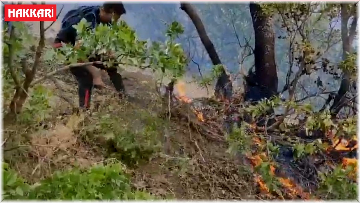 Hakkari'deki orman yangını kısmen kontrol altına alındı