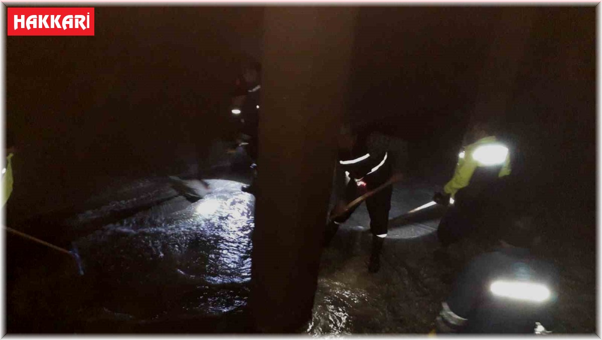 Hakkari'deki su depolarında bahar temizliği