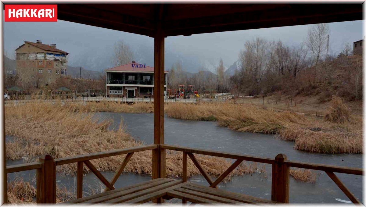 Hakkari Golazüryan Göleti dondu