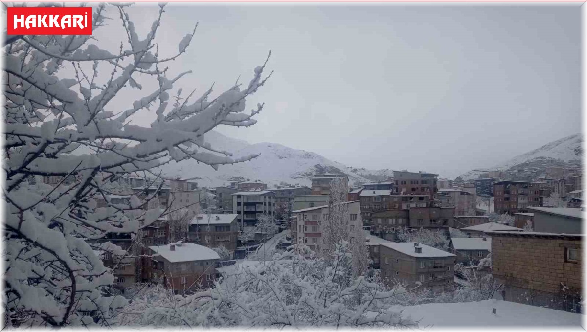 Hakkari kar hapsinde: Okullar tatil edildi, 284 yerleşim yerinin yolu kapandı