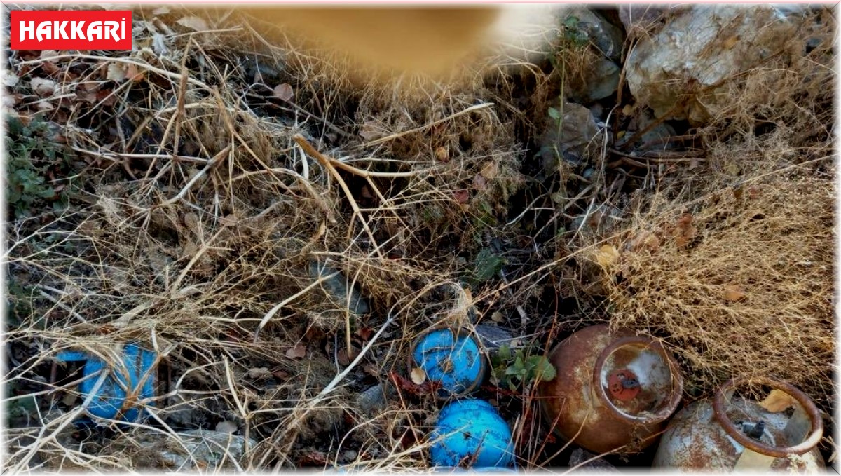Hakkari kırsalında teröristlere ait malzemeler ele geçirildi
