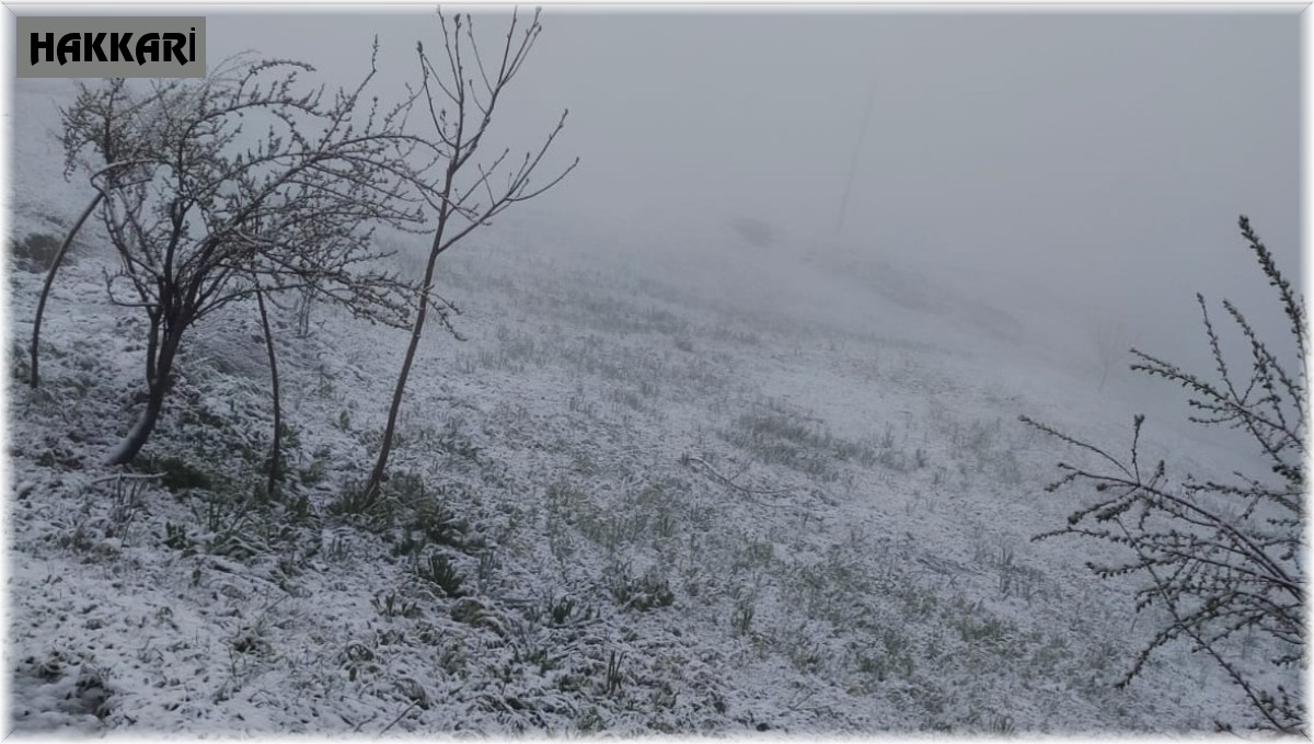 Hakkari köylerinde Mayıs ayında kar sürprizi