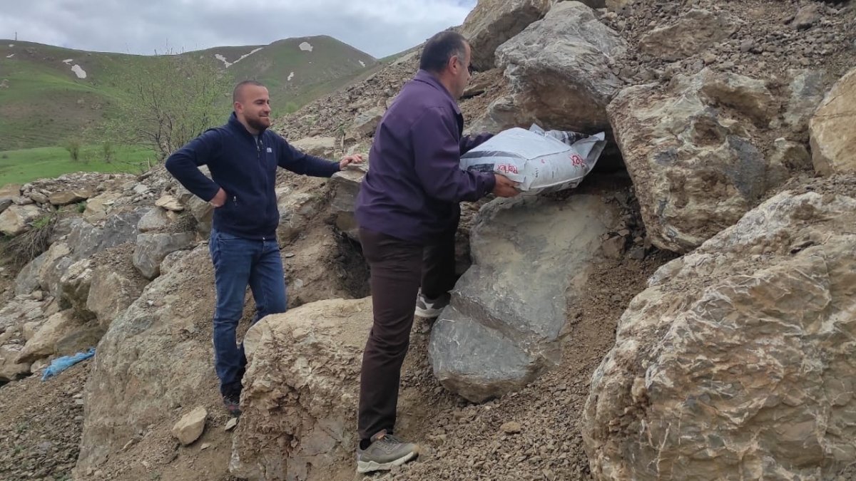 Hakkari'nin maskotu tilkiler için yiyecek bırakıldı