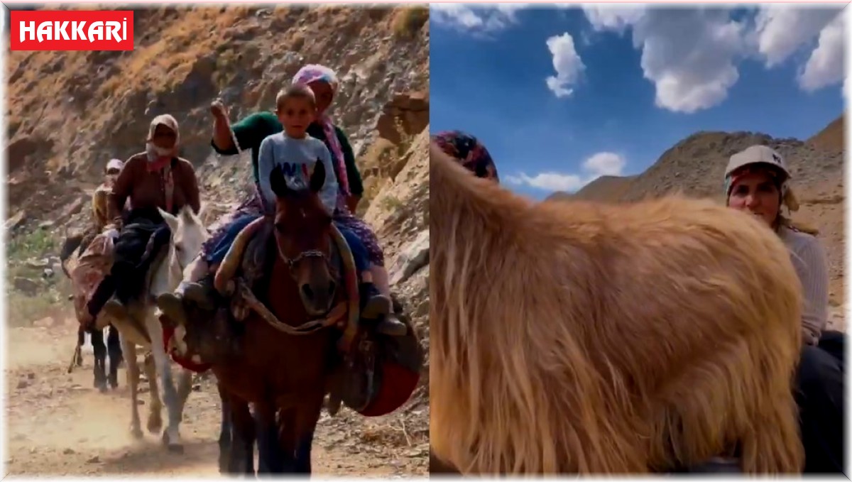 Hakkari Valiliğinden Berivan paylaşımı