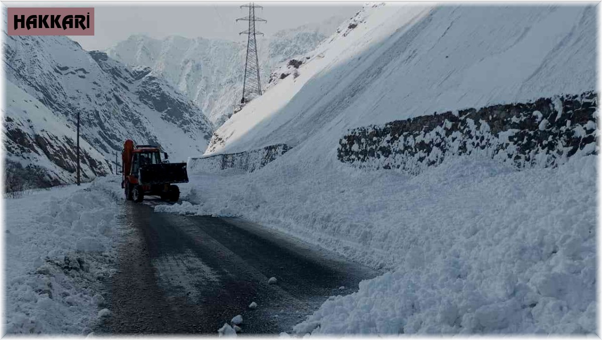 Hakkari-Van karayoluna çığ düştü