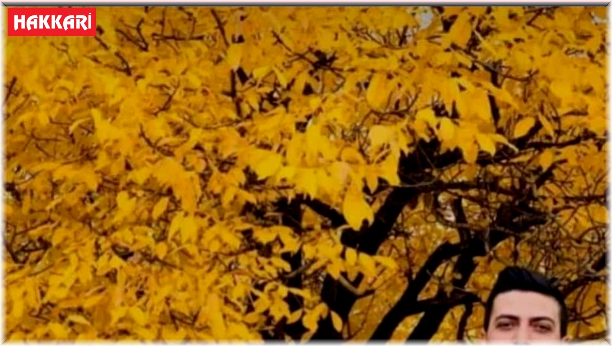 Hakkari-Van karayolundaki kazada ölen 3 kişinin isimleri belli oldu