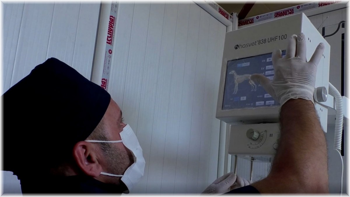 Hakkari’de can dostları sevindiren haber