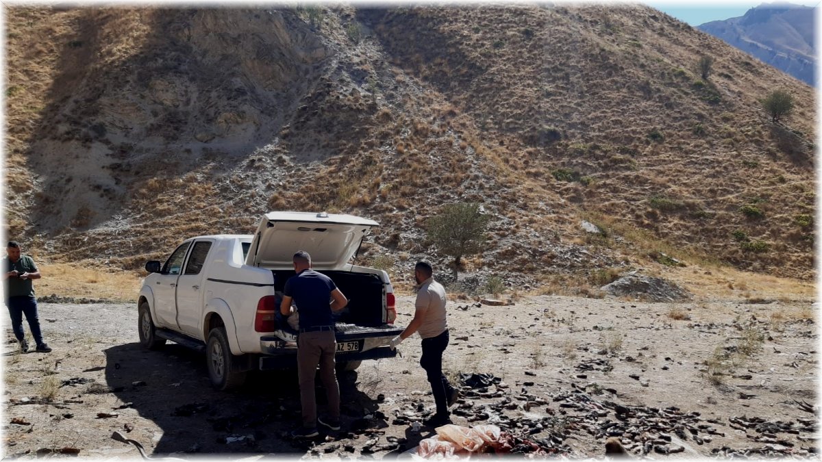 Hakkari’de sokak hayvanlarına sakatat bırakıldı