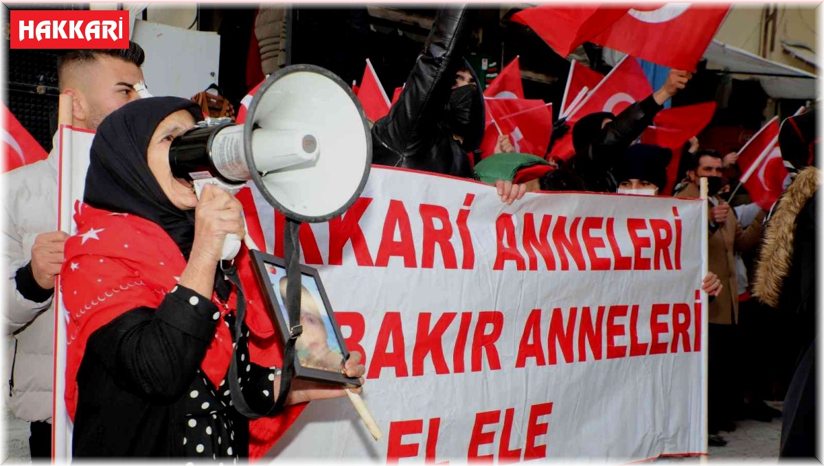 Hakkarili annelerin evlat nöbeti 41'inci haftada