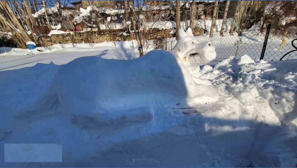 Hakkarili gençten kardan kangal köpeği figürü