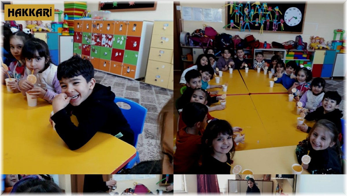 Hakkarili miniklerden 'C Vitamini Şenliği'