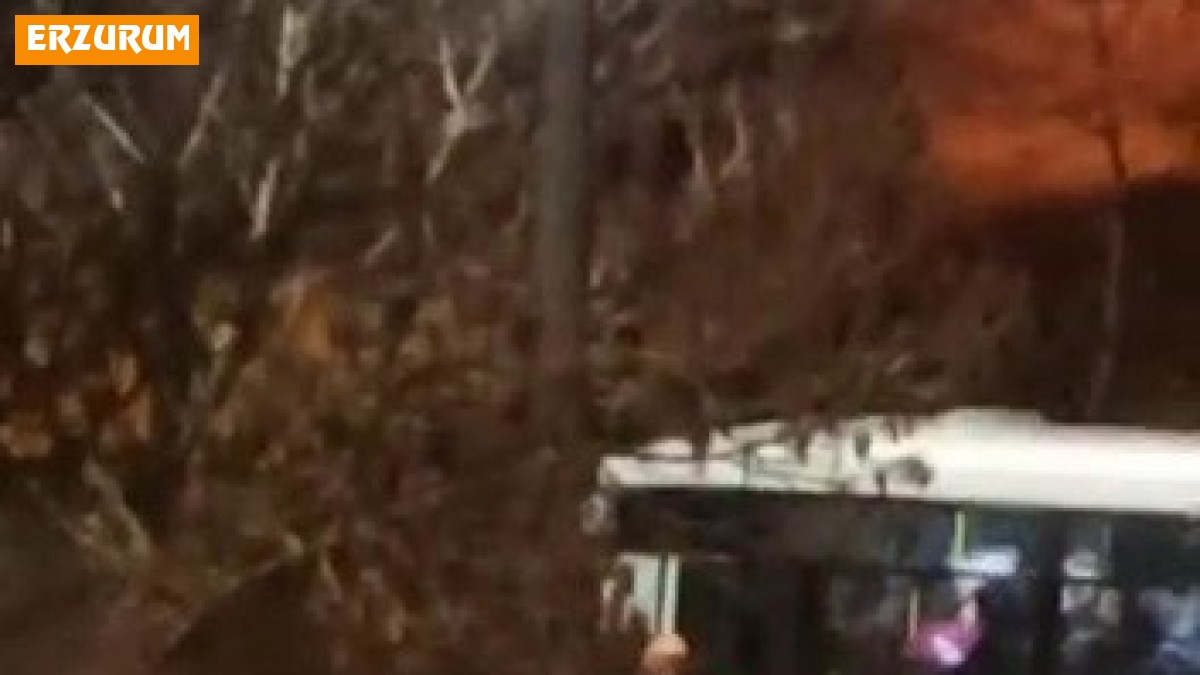 Halk otobüsünün önünü kesip sürücüye saldırdı