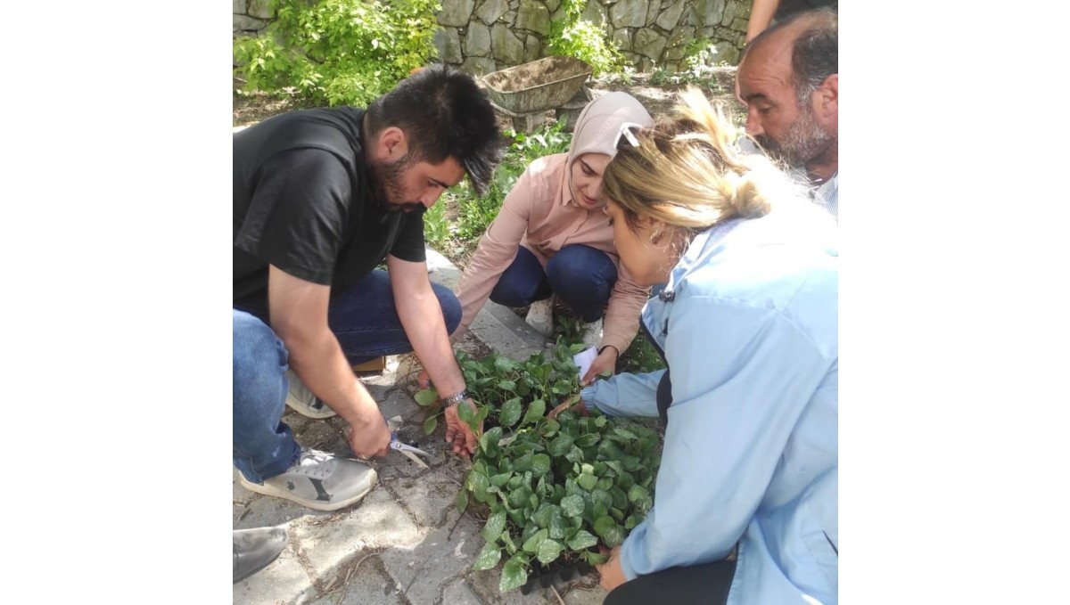 Hamur'da sebze fideleri dağıtımı gerçekleştirildi