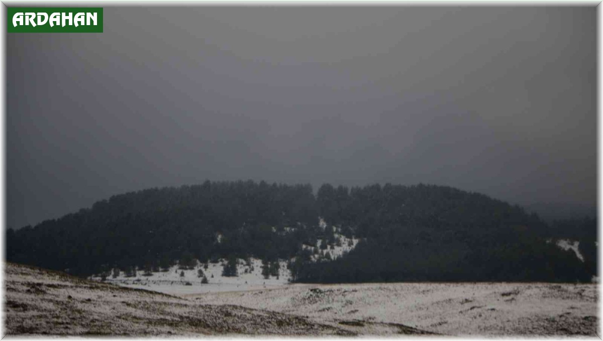 Hanak ve Çamlıçatak ormanlarında kar ve sis manzarası havadan görüntülendi