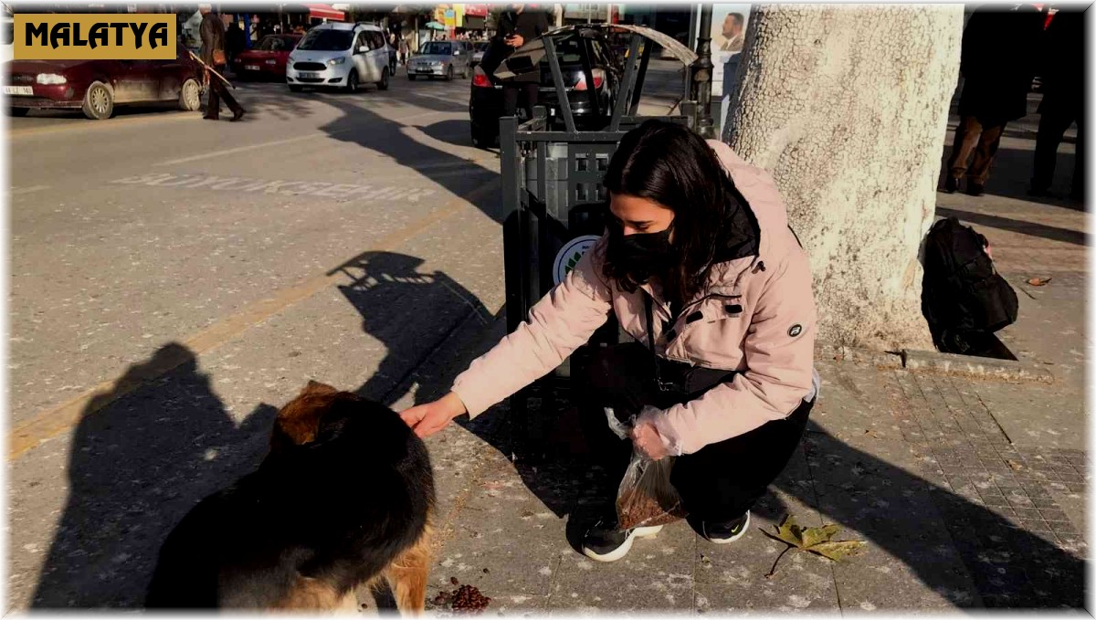 Harçlığından biriktirdiği paralarla sokak hayvanlarını besliyor