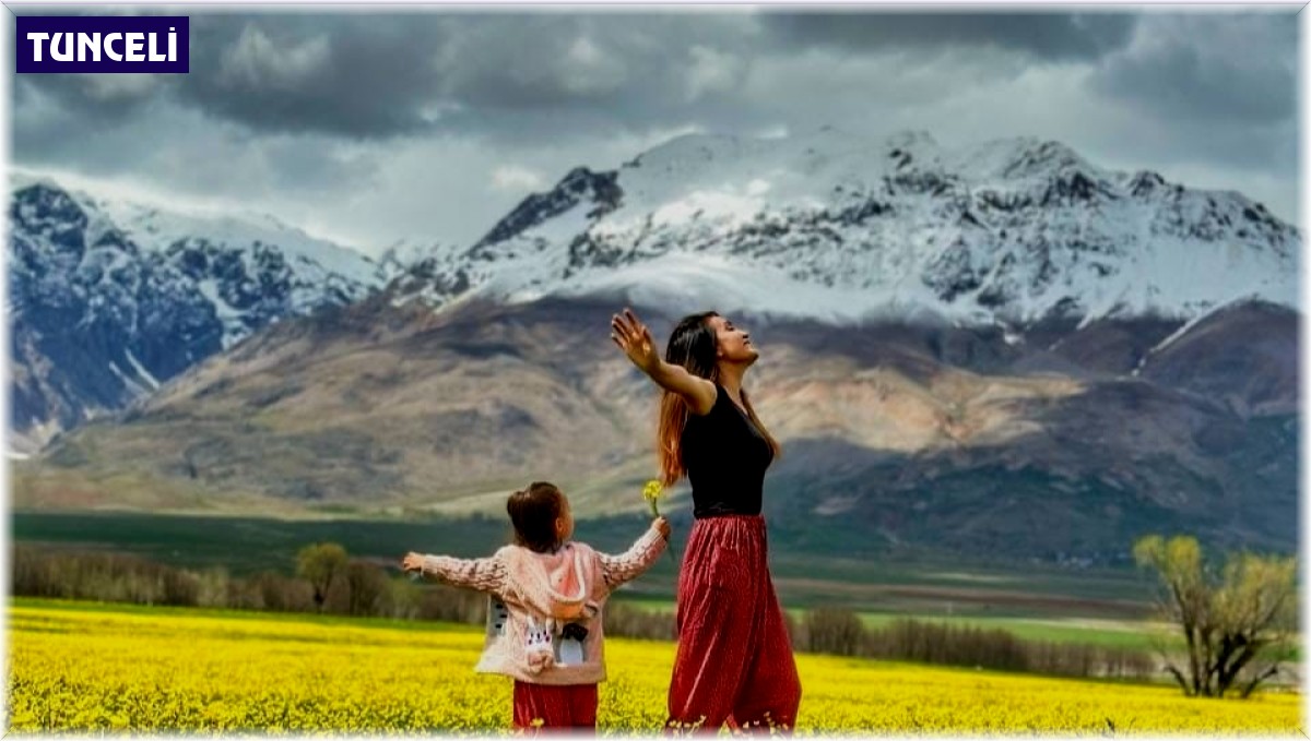 Hardal çiçekleri Tunceli'yi sarıya boyadı, ortaya eşsiz manzaralar çıktı